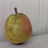 Груша "Красуля" 3-летка С5 - Cадовый центр "Солнечный", Екатеринбург