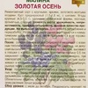 МАЛИНА РЕМОНТАНТНАЯ "ЗОЛОТАЯ ОСЕНЬ" С2 - Cадовый центр "Солнечный", Екатеринбург