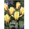ТЮЛЬПАН ГРЕЙГА "RAFAELLO"РАФАЭЛЛО - Cадовый центр "Солнечный", Екатеринбург
