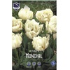 ТЮЛЬПАН МАХРОВЫЙ "MONDIAL" МОНДИАЛ - Cадовый центр "Солнечный", Екатеринбург